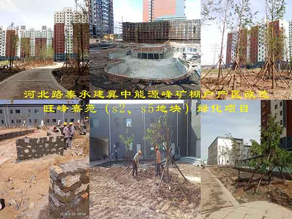 河北路泰承建冀中能源峰礦棚戶產區(qū)改造旺峰嘉苑（s2、s5地塊）綠化項目有序施工中